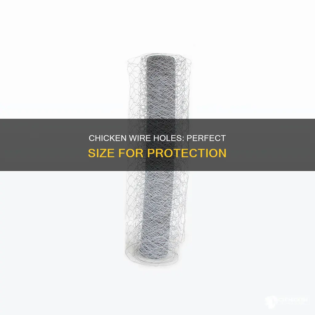 why are chicken wire holes the size they are