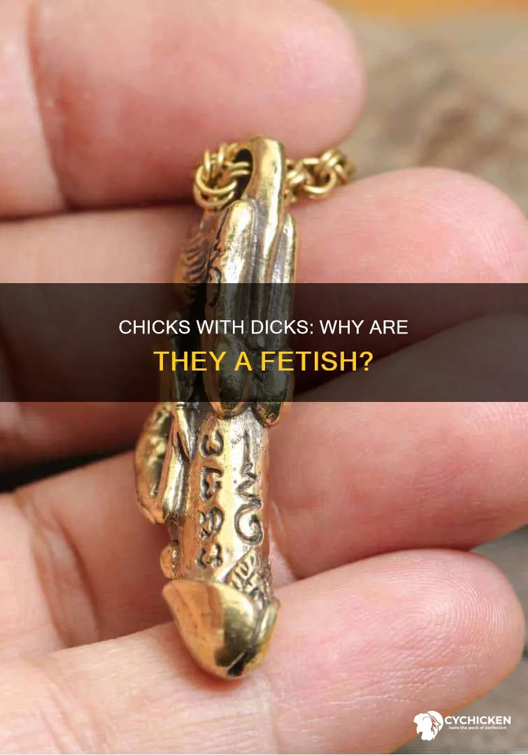 why are chicks with dixks a fetish for some men