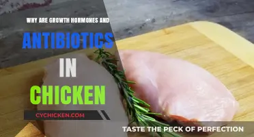 Growth Hormones and Antibiotics in Chicken: Uncovering the Truth