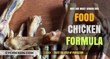 Why Senior Dog Food Often Features Chicken-Based Formulas
