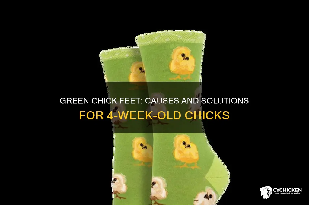 why are my 4 week chicks feet green