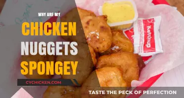 Why Are My Chicken Nuggets Spongey? Causes and Fixes Explained