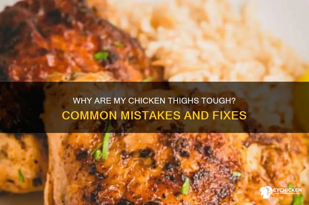 why are my chicken thighs tough