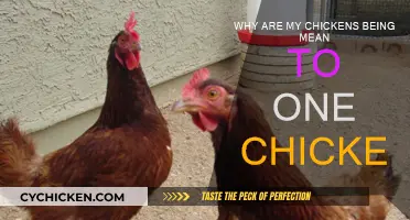 Bullies in the Coop: Why the Mean Girls Treatment?