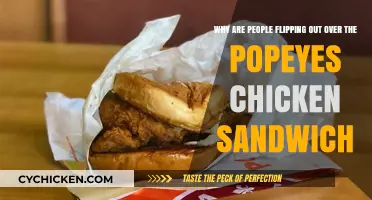 Popeyes Chicken Sandwich Craze: Why the Fast-Food Frenzy?