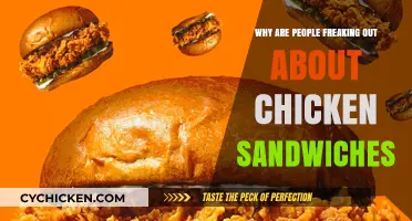 Chicken Sandwich Chaos: Unraveling the Hype and Obsession