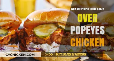 Popeyes Chicken Craze: Unraveling the Obsession Behind the Viral Sensation