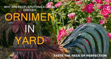 The Mystery of the Giant Chicken Ornaments in Yards
