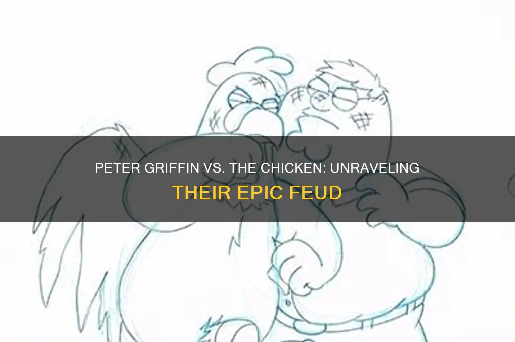 why are peter griffin and the chicken fighting