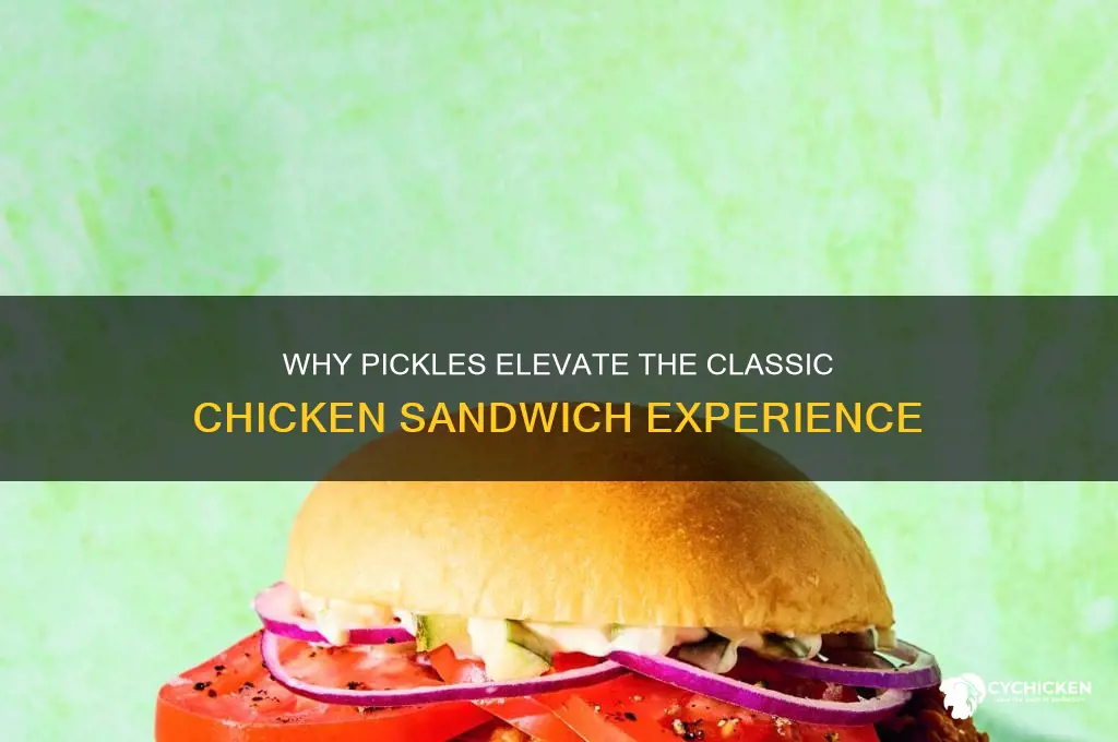 why are pickles on chicken sandwiches