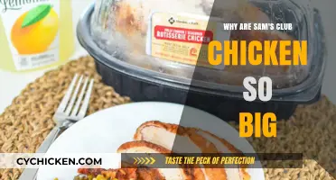 Why Sam's Club Chicken is Unusually Large: Exploring the Reasons