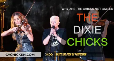 The Story Behind the Name Change of the Dixie Chicks