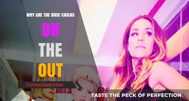 Why the Dixie Chicks Fell Out of Favor