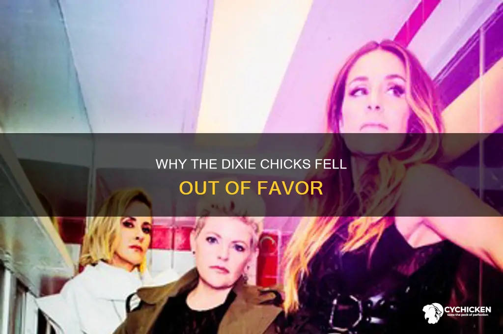 why are the dixie chicks on the out