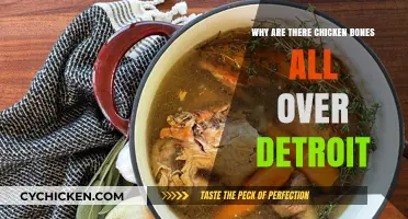 Detroit's Mystery: Uncovering the Strange Phenomenon of Scattered Chicken Bones