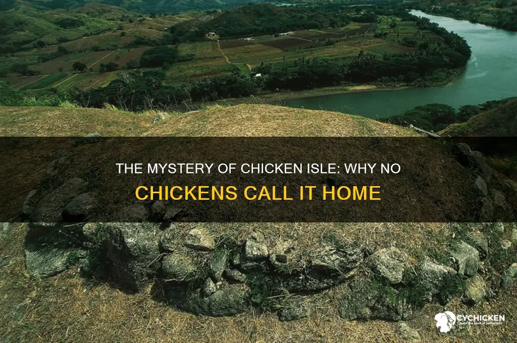 why are there no chickens on chicken isle