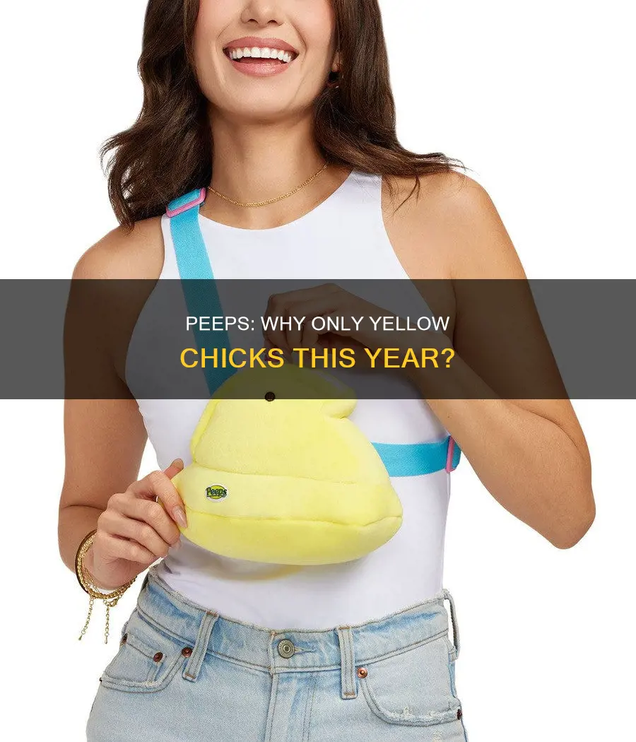 why are there only yellow chicks for peeps the year