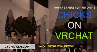 VRChat's Anime Chick Obsession: Why?