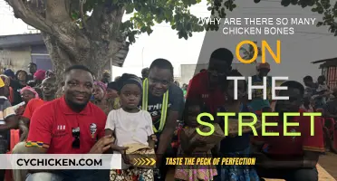 Chicken Bones on Streets: Why So Common?