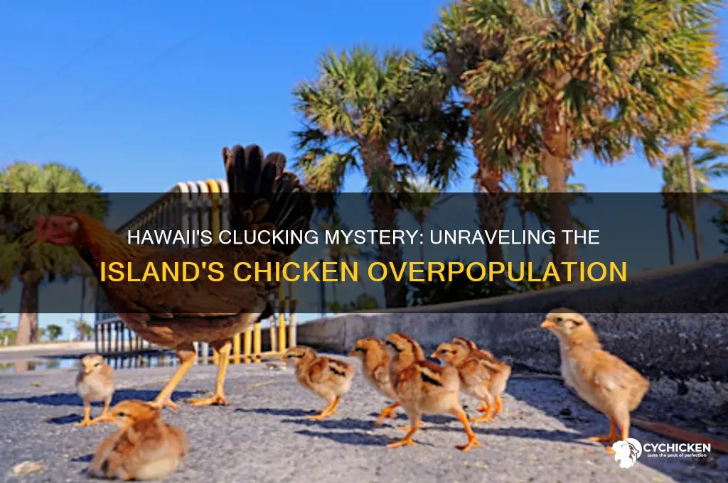 why are there so many chicken in hawaii