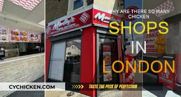 Chicken Shops: London's Ubiquitous Street Food Mystery