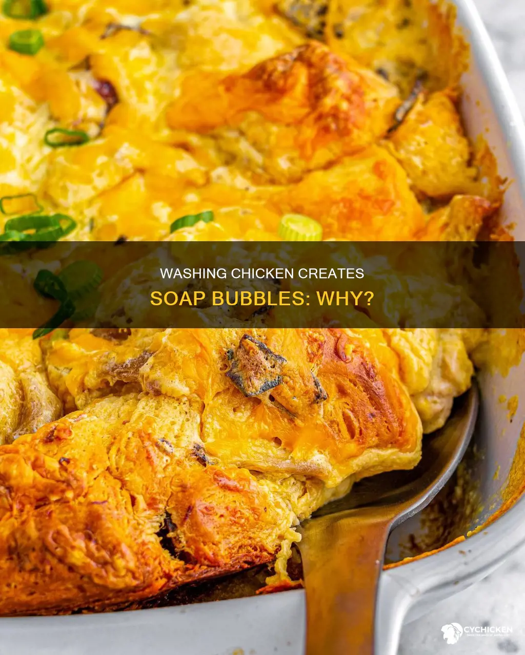 why are there soap bubbles when i wash chicken