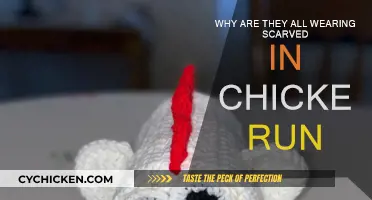 Chicken Run: The Mystery of the Scarves