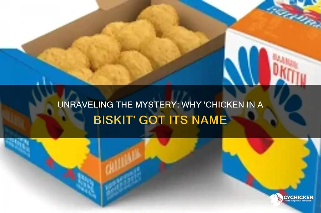 why are they called chicken in a biskit