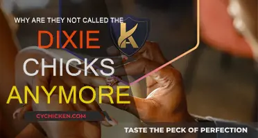 The Evolution of the Dixie Chicks' Name