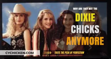 Why the Dixie Chicks Rebranded: Unraveling the Name Change