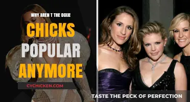 Why the Dixie Chicks Faded: Unraveling Their Decline in Popularity