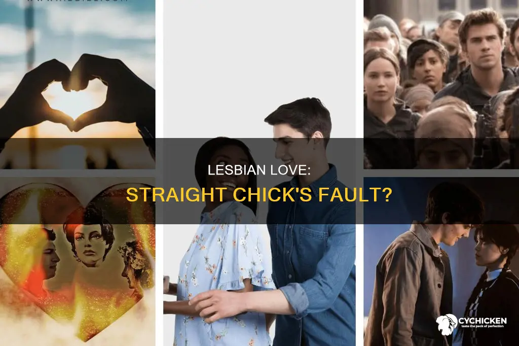 why blame the lesbian when its the straight chick