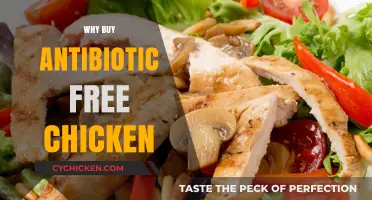 Choose Healthier Options: Why Buy Antibiotic-Free Chicken for Your Family
