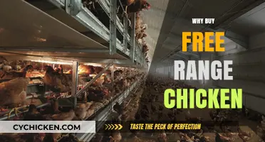 Why Free Range Chicken is Worth the Extra Cost