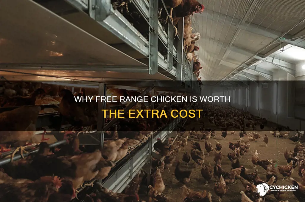 why buy free range chicken