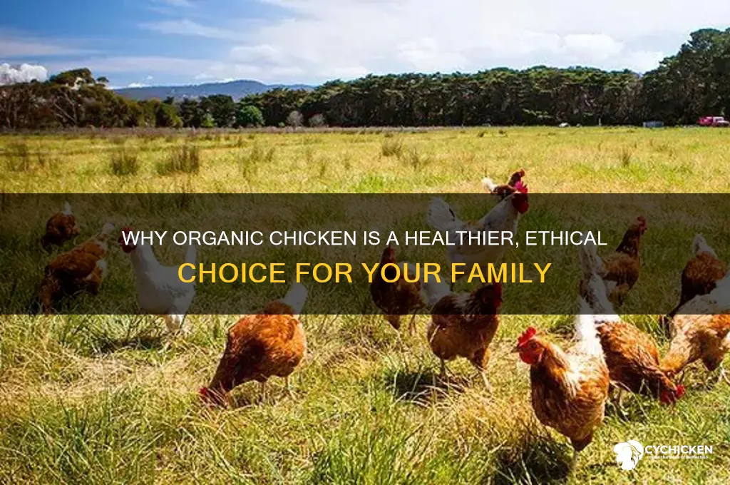 why buy organic chicken