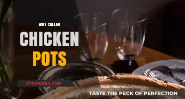 Why They're Called Chicken Pots: A Culinary Mystery Unveiled