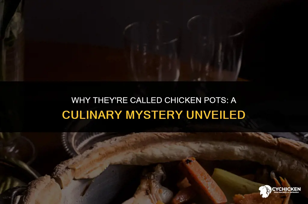 why called chicken pots