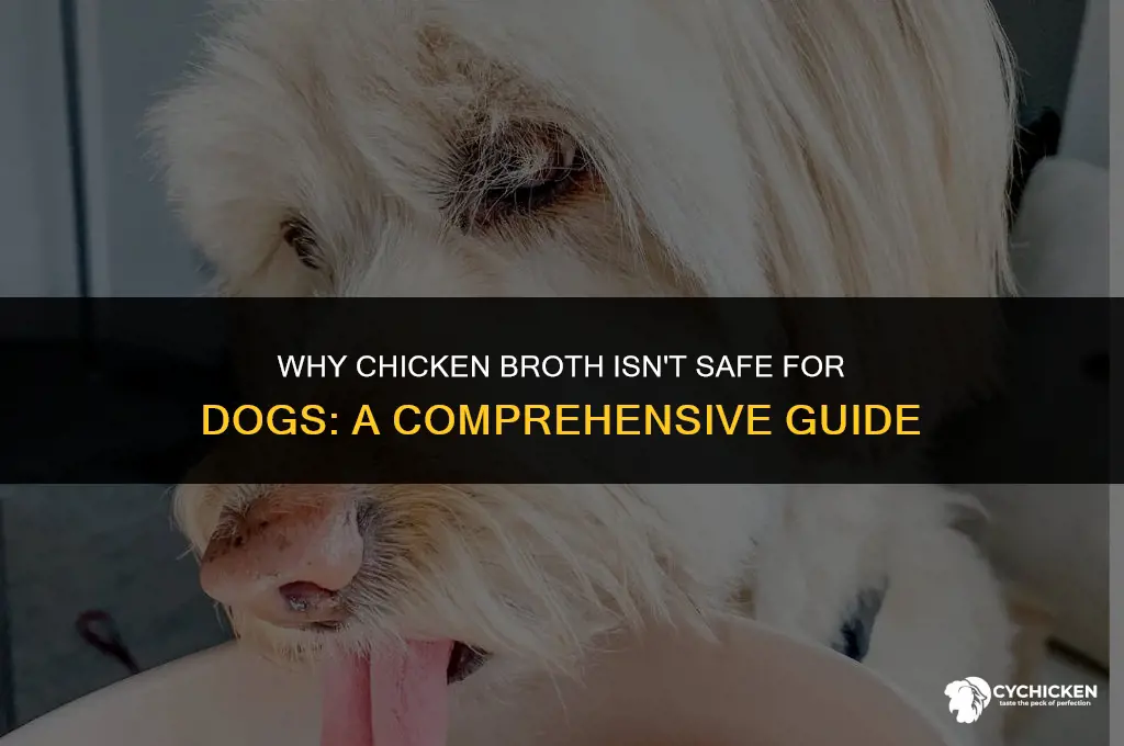 why cant dogs have chicken broth