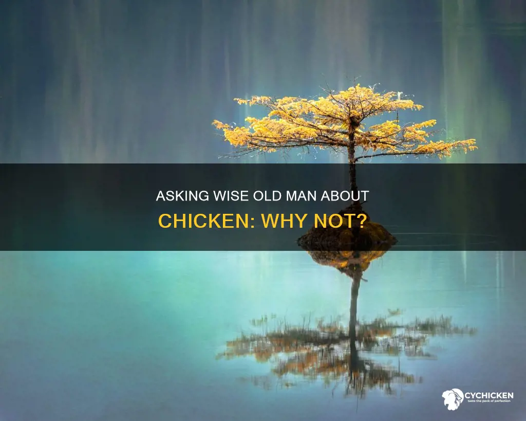 why cant i ask wise old man about chicken