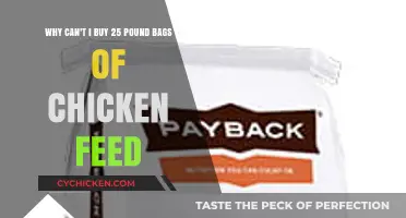 Where Are the 25-Pound Chicken Feed Bags? Explained