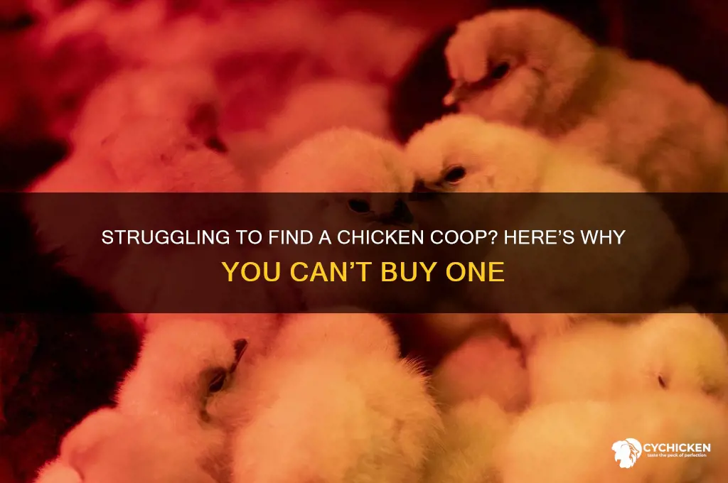 why cant i buy a chicken coop