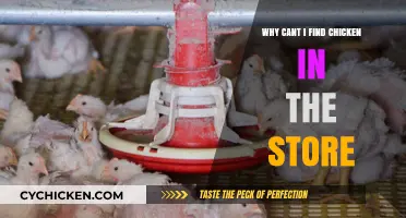 Why Chicken Shortages Persist: Understanding Supply Chain Challenges