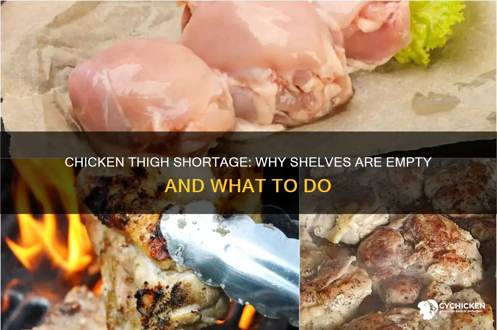 why cant i find chicken thighs