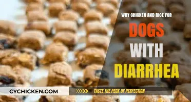 Chicken and Rice: A Gentle Remedy for Dogs with Diarrhea