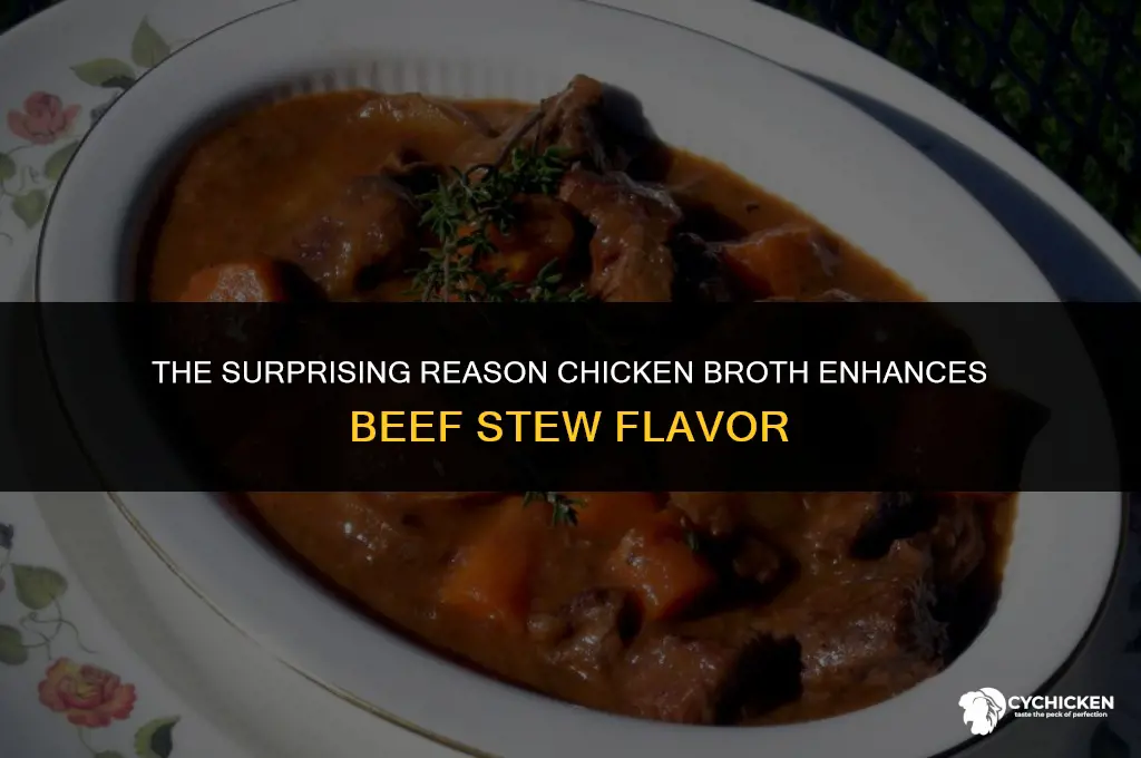 why chicken broth in beef stew