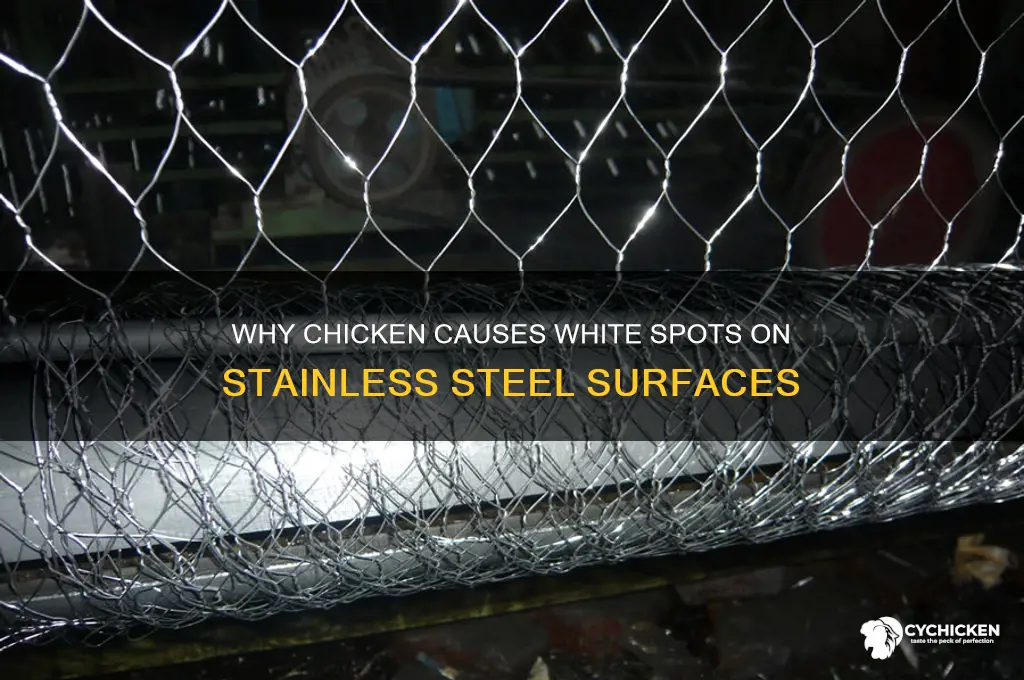 why chicken create white spots on stainless steel