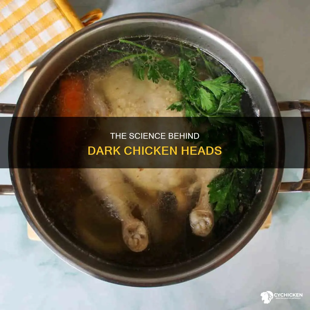 why chicken head is dark color when i boil