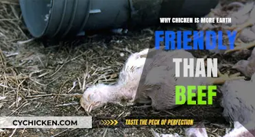 Chicken's Eco-Edge: Why It's Greener Than Beef for Our Planet