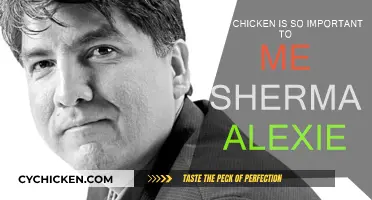 Chicken, Sherman Alexie's Comfort and Joy
